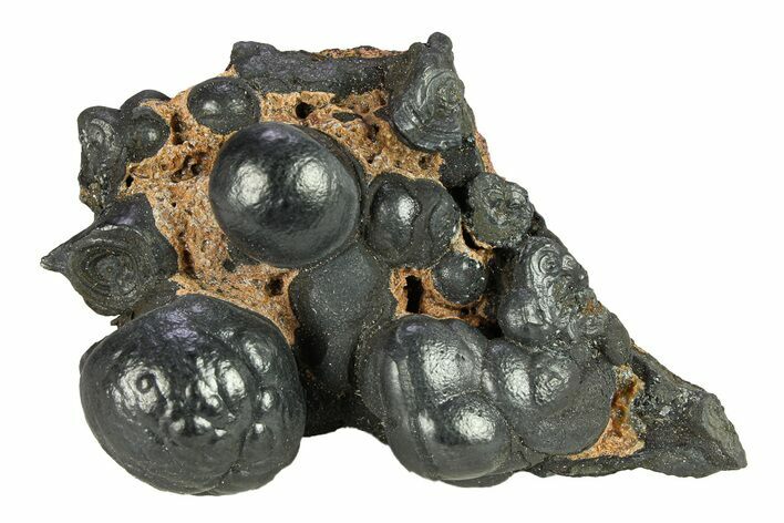 Botryoidal Goethite Formation - Taouz, Morocco #292054